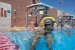 Finis Freestyle