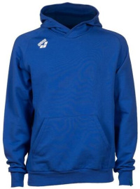 Arena Team Unisex Hooded Sweat Panel Royal Arena Team Unisex Hooded Sweat Panel Royal